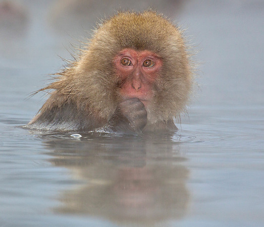 Thoughtful