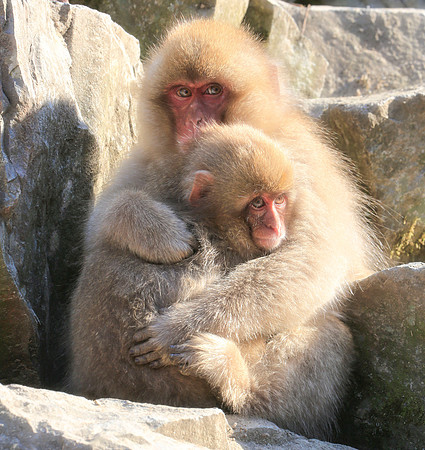 I want cuddles