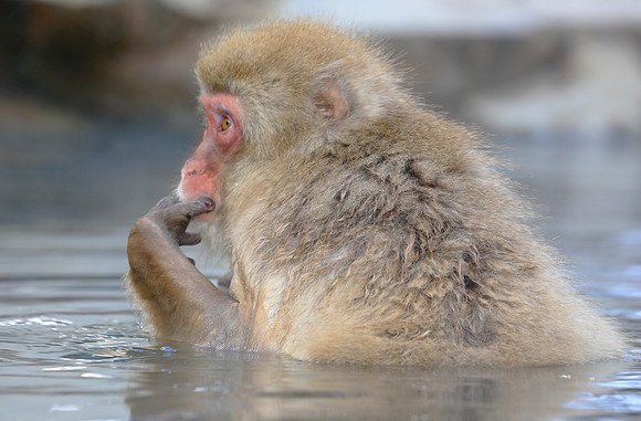 Tasting