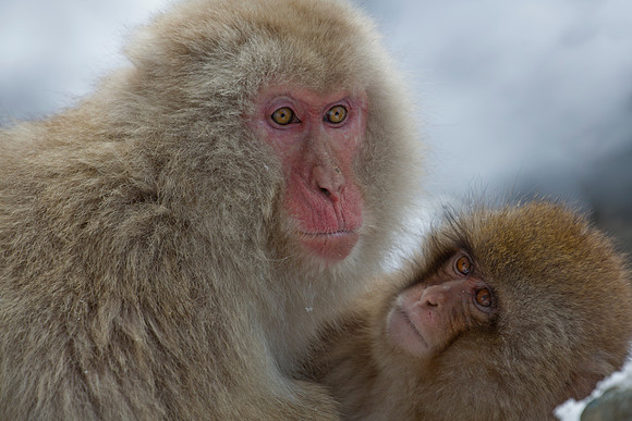 Mother and child