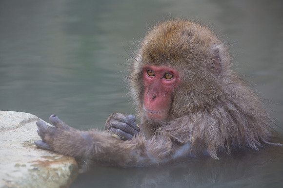 Thinking