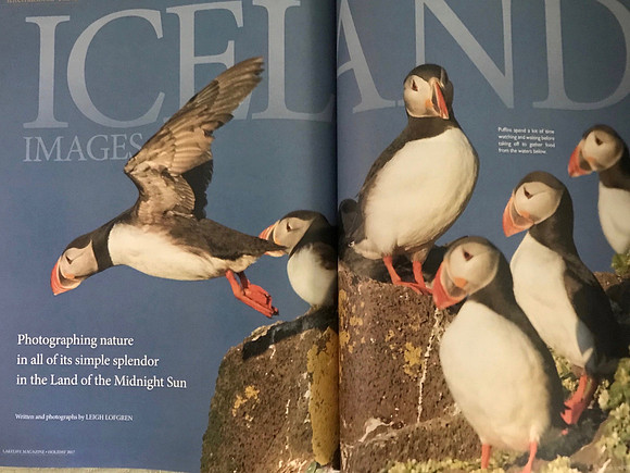 Article on Iceland and puffins - featured in 'Lakelife'