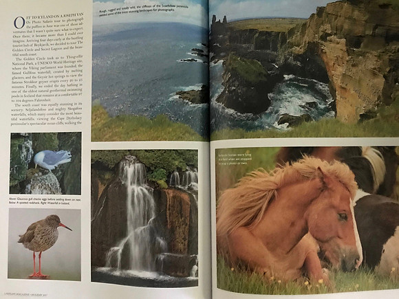 Iceland article
