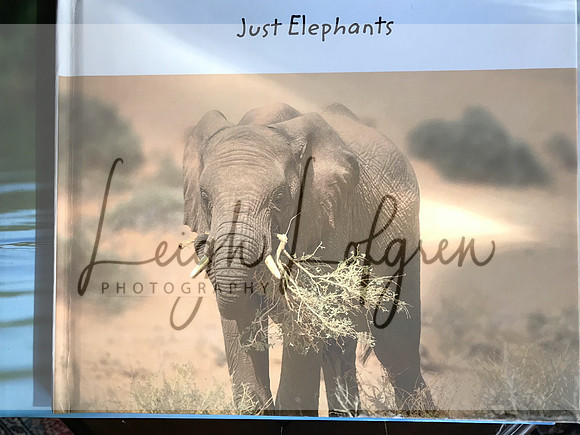 Book "just Elephants"