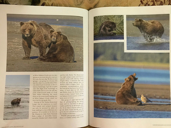Part of the magazine article on the Brown Bears of Alaska