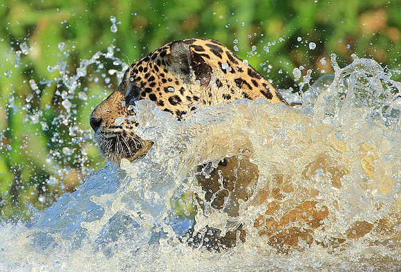 Splashdown