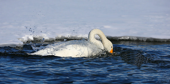 Splashing About