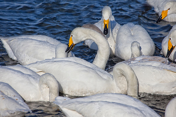 Togetherness