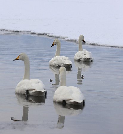 Gliding By